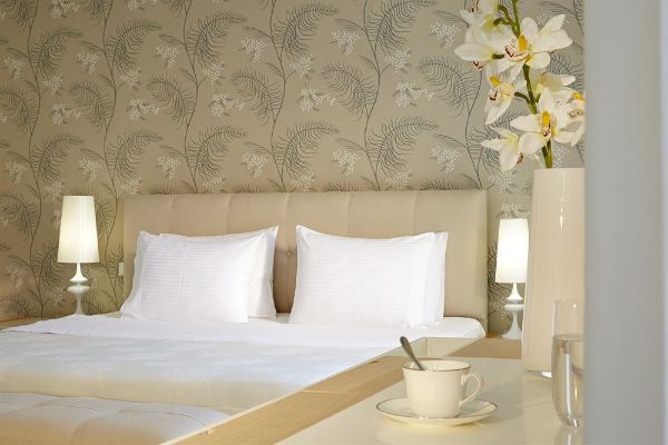 Afitis Boutique Hotel (Chalkidiki)